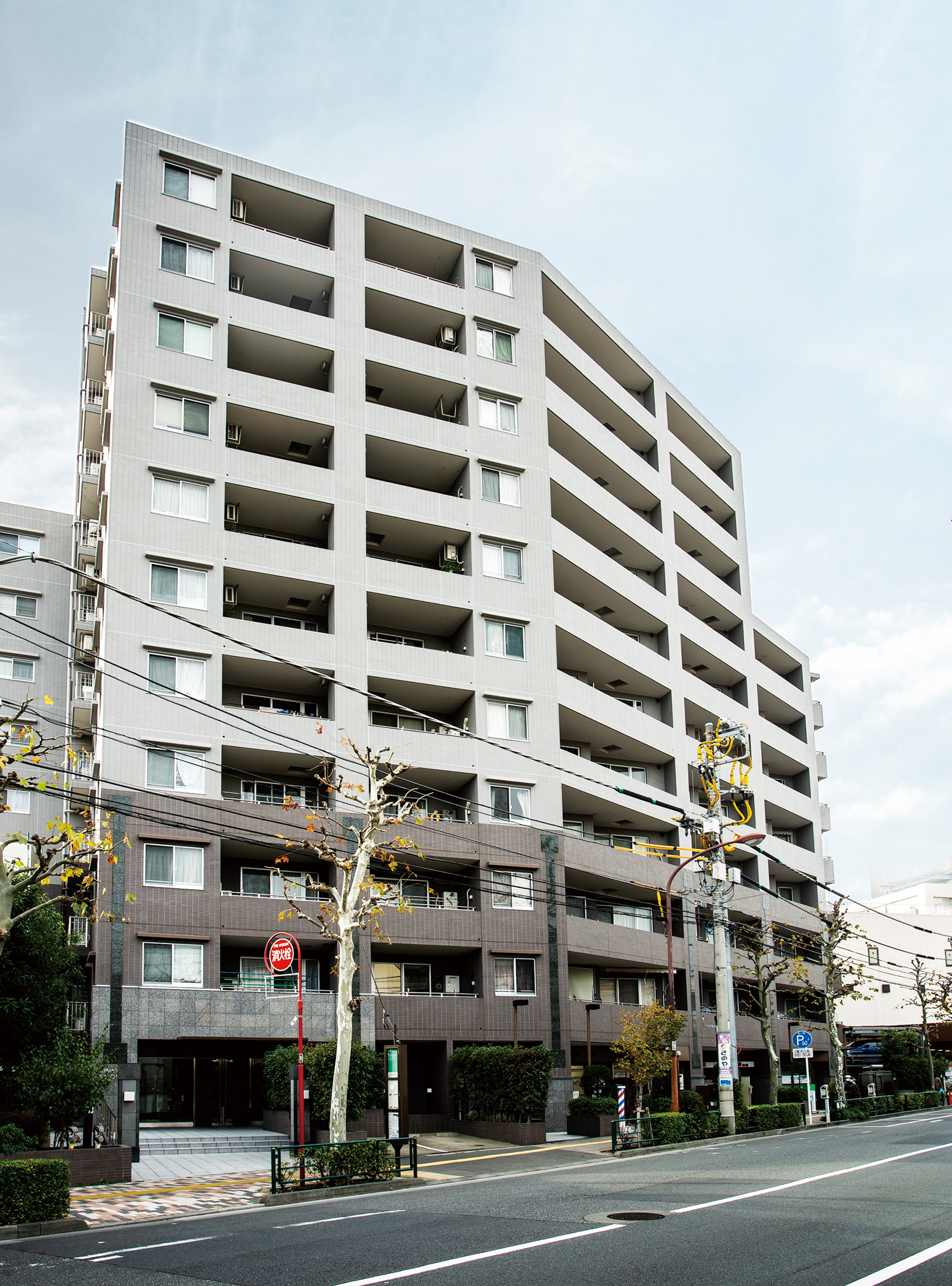 アーバンビュー新大塚プラタナス通り